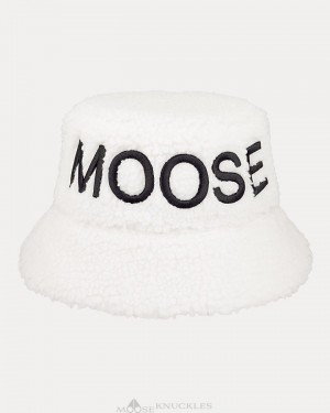 Moose Knuckles Cobble Bucket Hat Hut Herren Plaster | 56038PIEN
